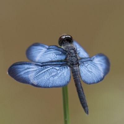 _8100076