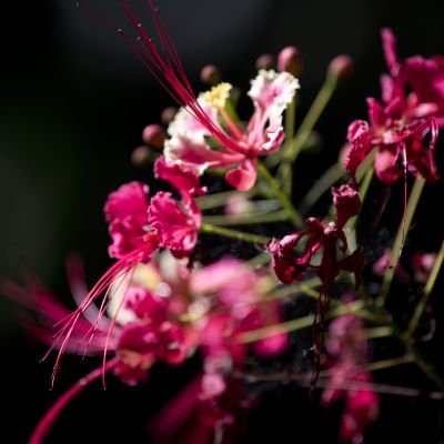 _8103831