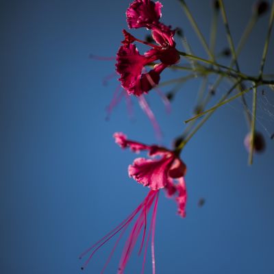 _8103834