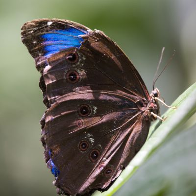 _8109523